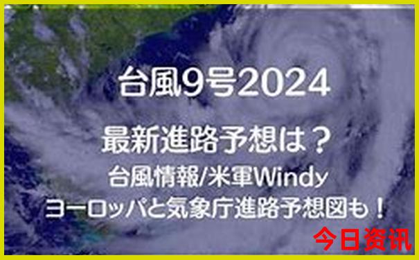 李楠个人资料简介